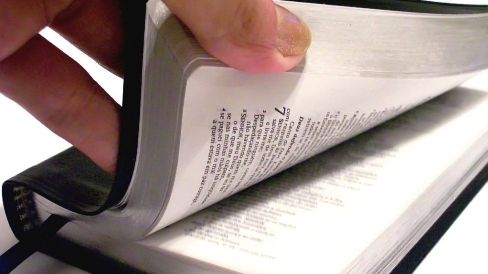 A person sitting outdoors, reading a Bible and reflecting on Scripture.